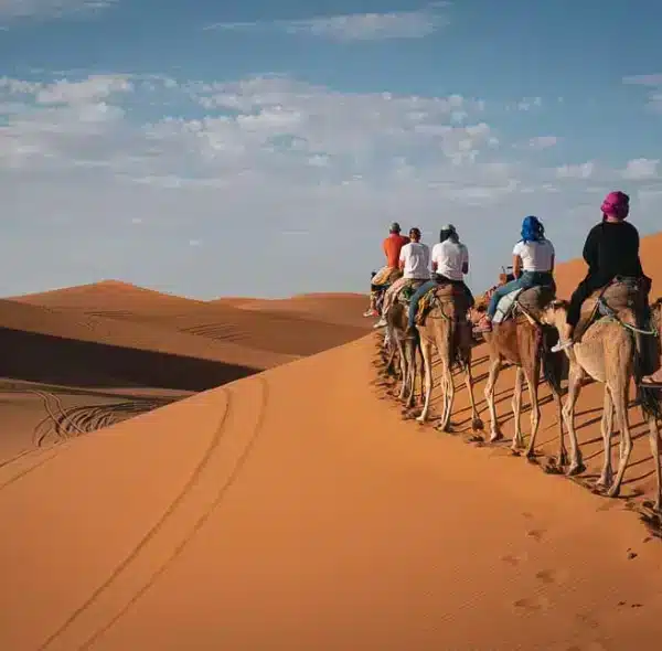 Best things to do in morocco