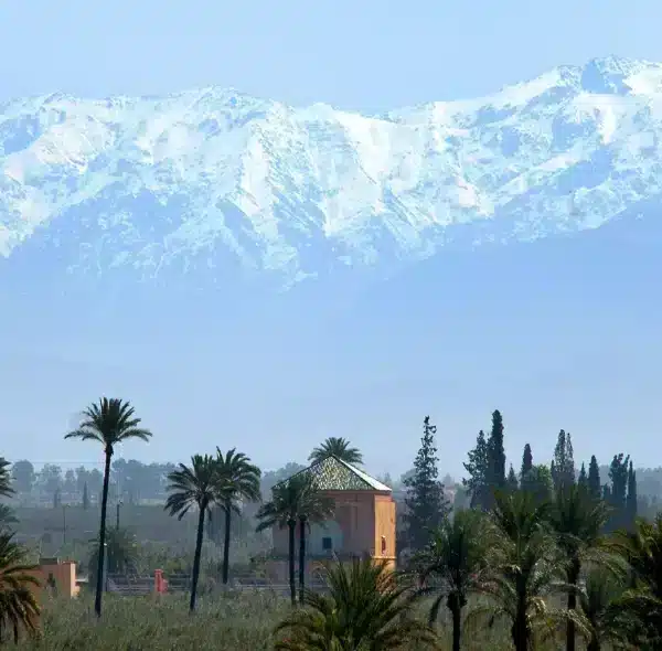 7-Day Desert Tour from Marrakech to Casablanca